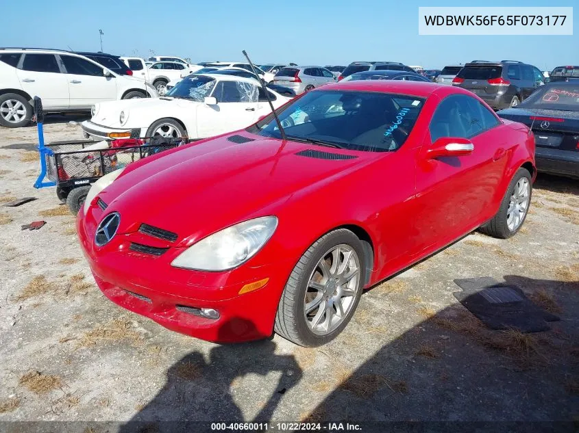 2005 Mercedes-Benz Slk 350 VIN: WDBWK56F65F073177 Lot: 40660011