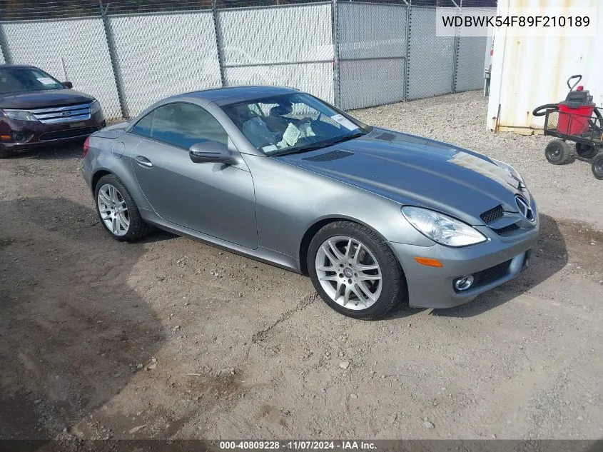 WDBWK54F89F210189 2009 Mercedes-Benz Slk 300