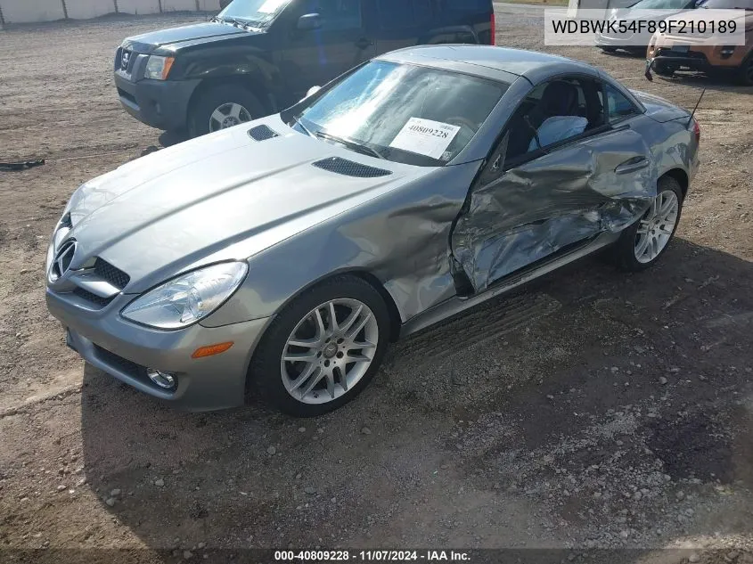 WDBWK54F89F210189 2009 Mercedes-Benz Slk 300