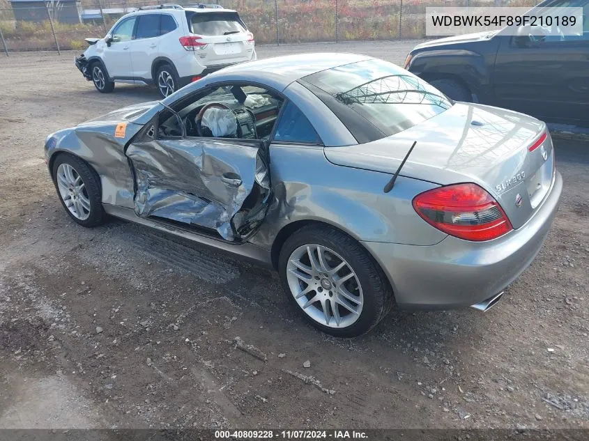 WDBWK54F89F210189 2009 Mercedes-Benz Slk 300