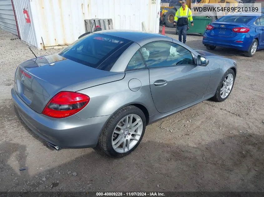 WDBWK54F89F210189 2009 Mercedes-Benz Slk 300