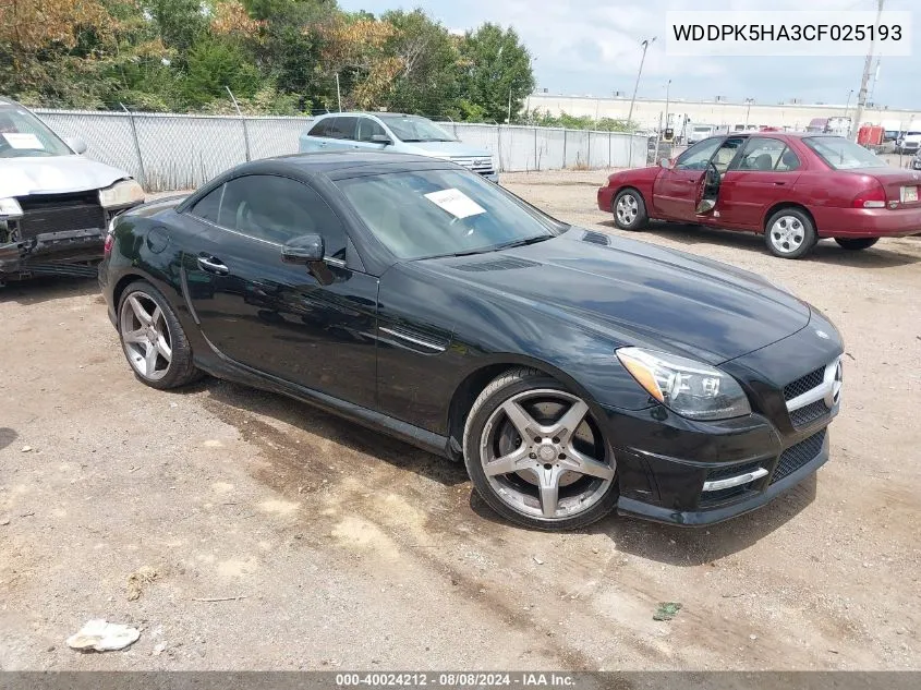 2012 Mercedes-Benz Slk 350 VIN: WDDPK5HA3CF025193 Lot: 40024212