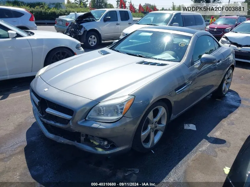 2012 Mercedes-Benz Slk 350 VIN: WDDPK5HA2CF003881 Lot: 40310680