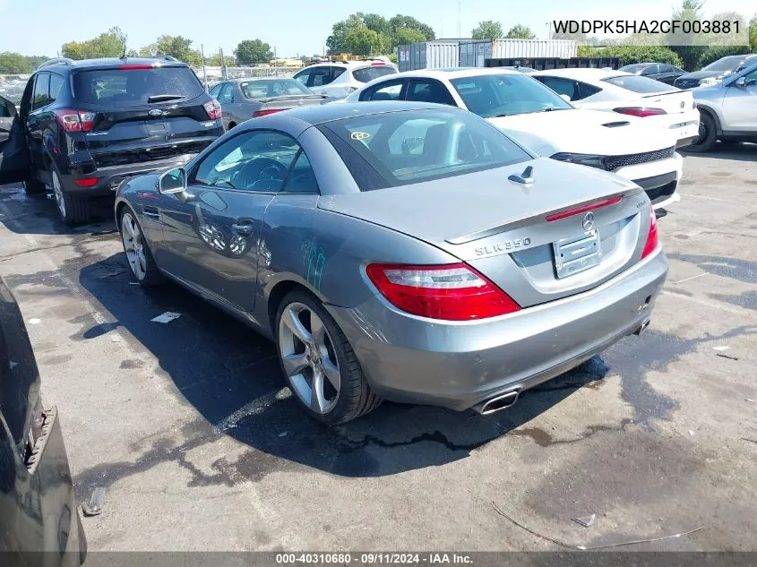 2012 Mercedes-Benz Slk 350 VIN: WDDPK5HA2CF003881 Lot: 40310680