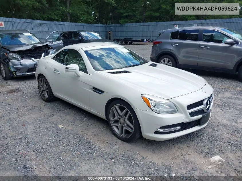 2013 Mercedes-Benz Slk 250 VIN: WDDPK4HA4DF059624 Lot: 40073193