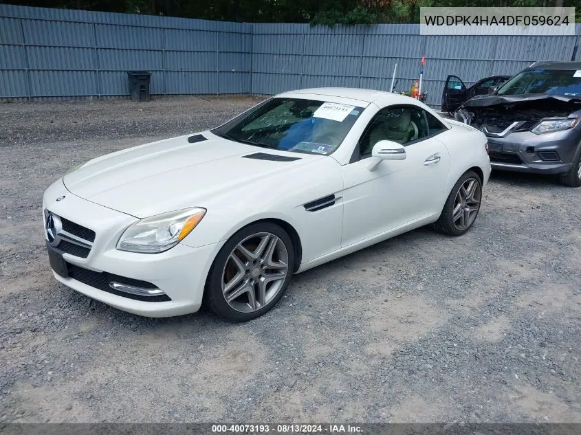 2013 Mercedes-Benz Slk 250 VIN: WDDPK4HA4DF059624 Lot: 40073193