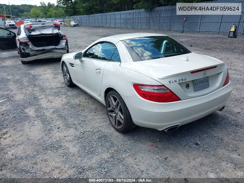 2013 Mercedes-Benz Slk 250 VIN: WDDPK4HA4DF059624 Lot: 40073193