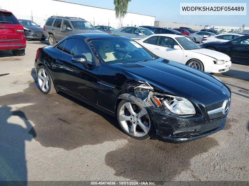 2013 Mercedes-Benz Slk 350 VIN: WDDPK5HA2DF054489 Lot: 40474036