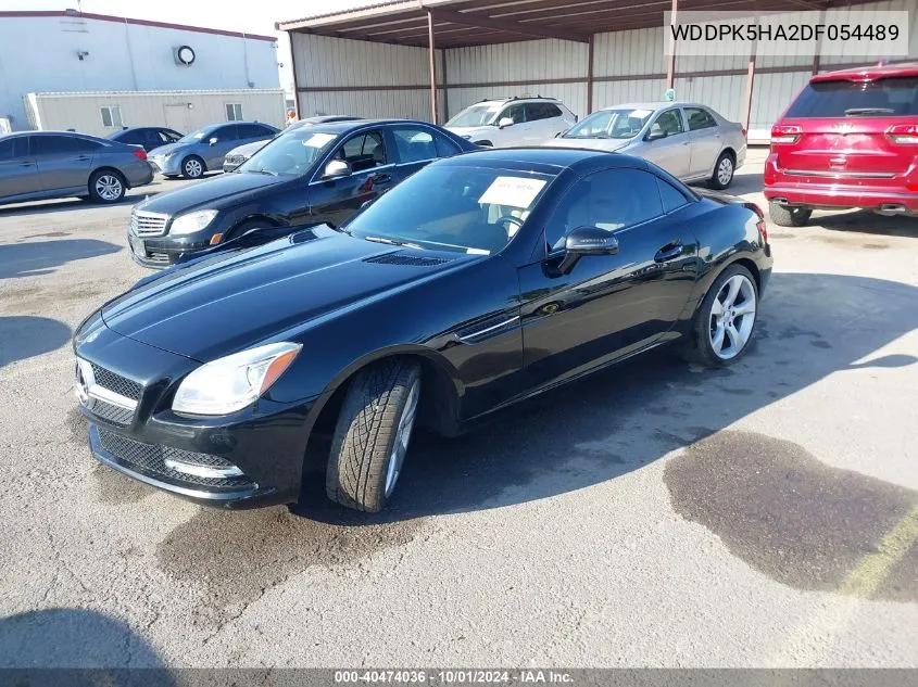 2013 Mercedes-Benz Slk 350 VIN: WDDPK5HA2DF054489 Lot: 40474036