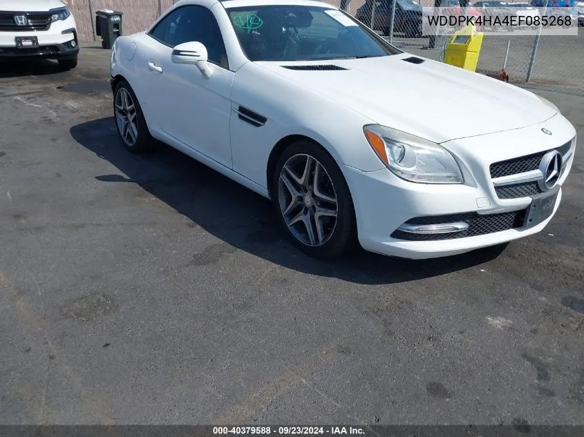 2014 Mercedes-Benz Slk 250 VIN: WDDPK4HA4EF085268 Lot: 40379588