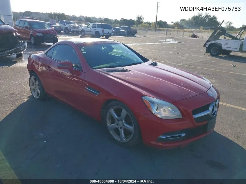 2014 Mercedes-Benz Slk 250 VIN: WDDPK4HA3EF075783 Lot: 40504988