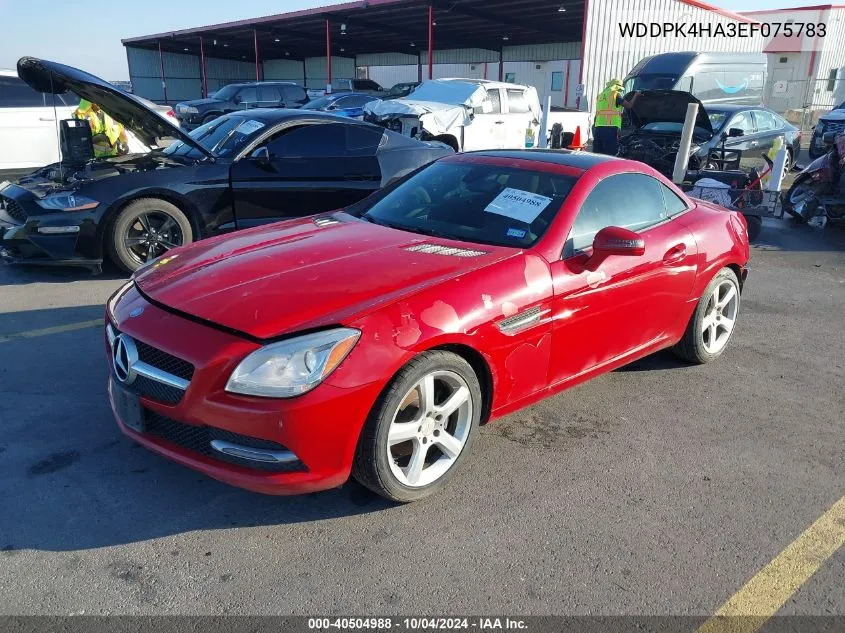 2014 Mercedes-Benz Slk 250 VIN: WDDPK4HA3EF075783 Lot: 40504988