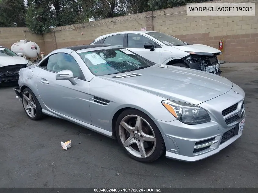 2016 Mercedes-Benz Slk 300 VIN: WDDPK3JA0GF119035 Lot: 40624465