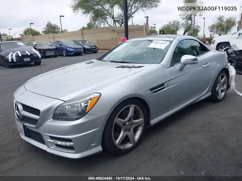 2016 Mercedes-Benz Slk 300 VIN: WDDPK3JA0GF119035 Lot: 40624465