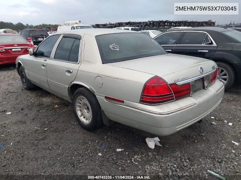 2003 Mercury Grand Marquis Ls VIN: 2MEHM75W53X703045 Lot: 40743235