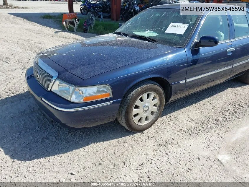 2005 Mercury Grand Marquis Ls/Lse VIN: 2MEHM75W85X646598 Lot: 40655473