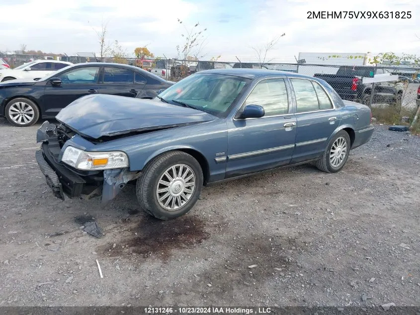 2009 Mercury Grand Marquis VIN: 2MEHM75VX9X631825 Lot: 12131246