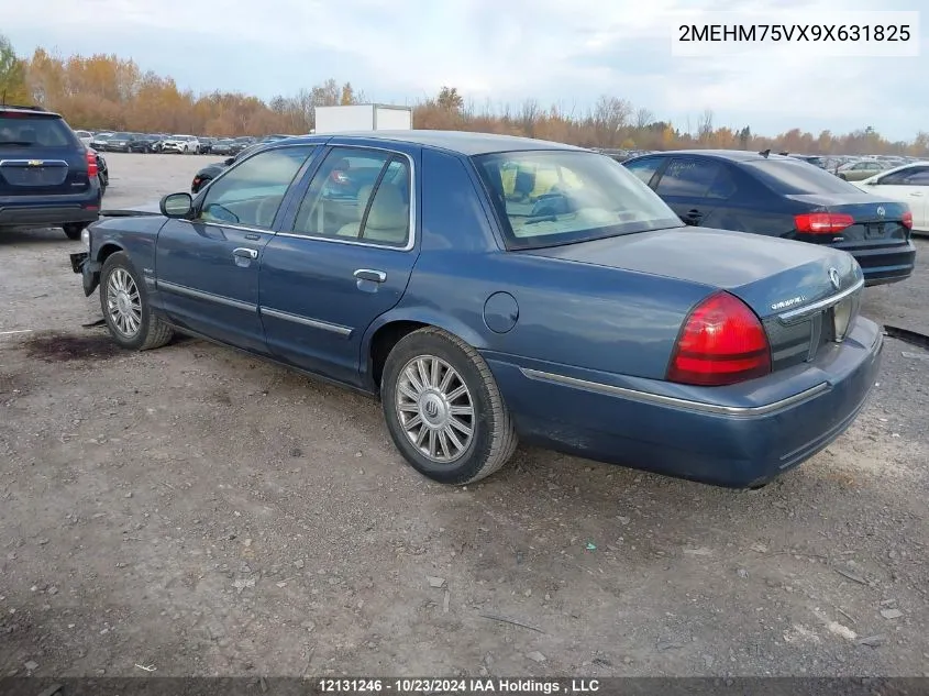 2009 Mercury Grand Marquis VIN: 2MEHM75VX9X631825 Lot: 12131246