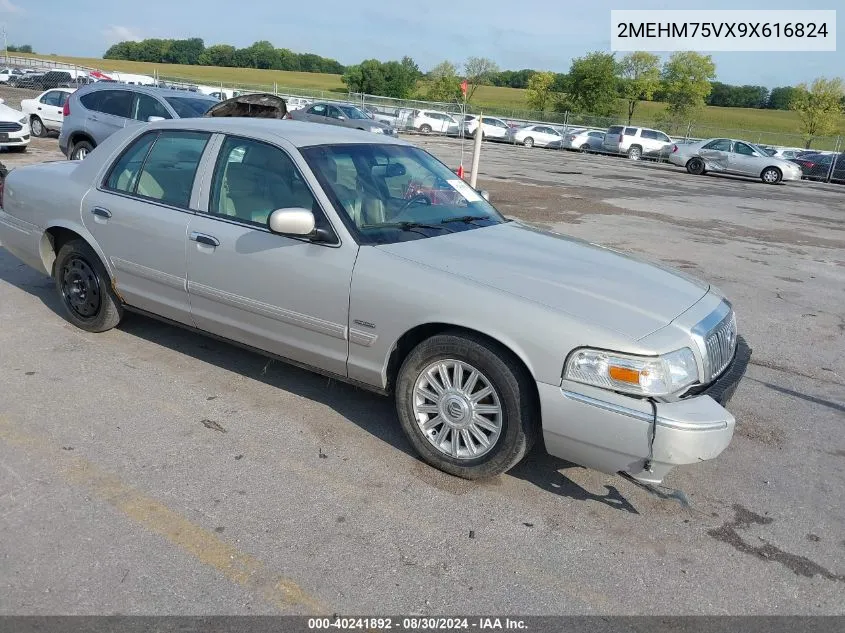 2009 Mercury Grand Marquis Ls (Fleet Only) VIN: 2MEHM75VX9X616824 Lot: 40241892