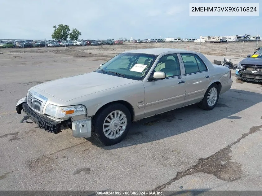 2009 Mercury Grand Marquis Ls (Fleet Only) VIN: 2MEHM75VX9X616824 Lot: 40241892