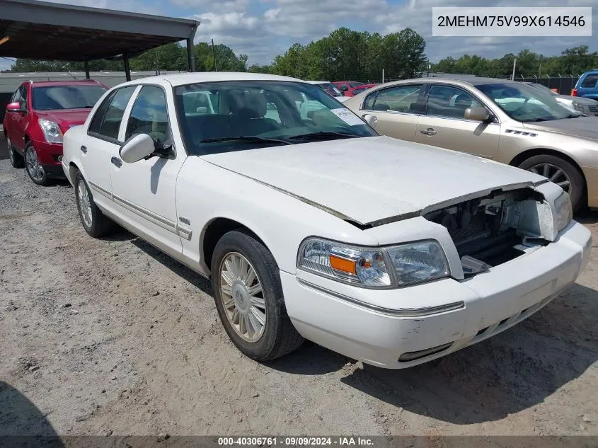 2009 Mercury Grand Marquis Ls (Fleet Only) VIN: 2MEHM75V99X614546 Lot: 40306761