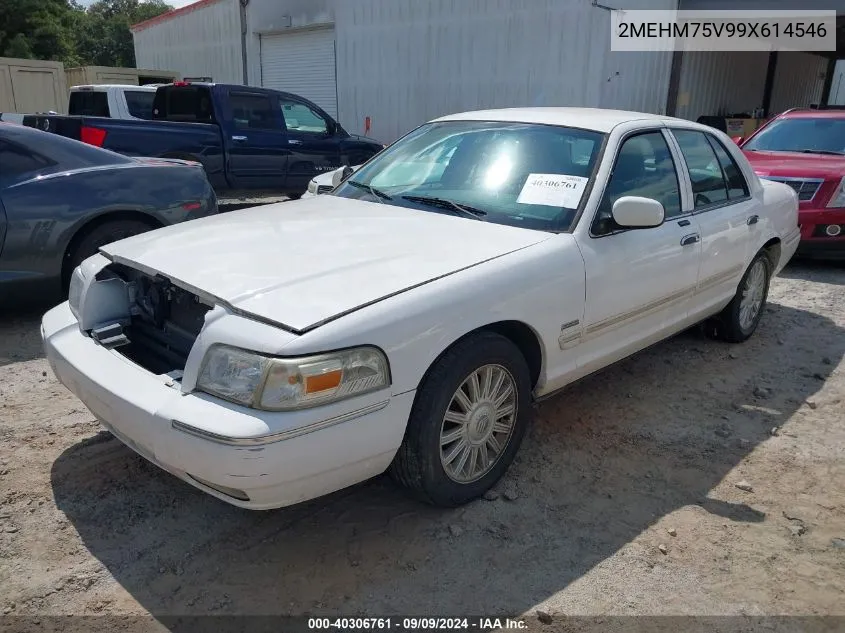 2009 Mercury Grand Marquis Ls (Fleet Only) VIN: 2MEHM75V99X614546 Lot: 40306761