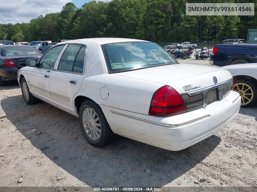 2009 Mercury Grand Marquis Ls (Fleet Only) VIN: 2MEHM75V99X614546 Lot: 40306761