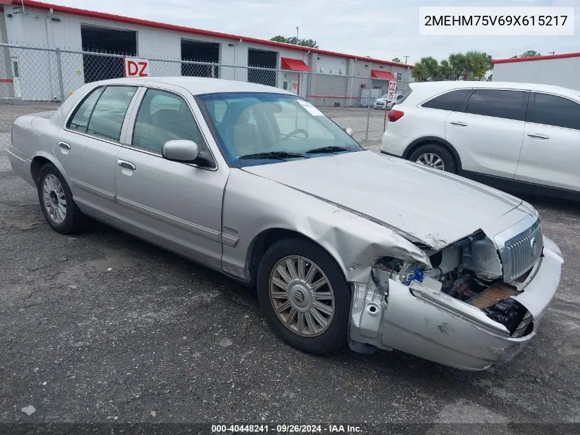 2009 Mercury Grand Marquis Ls (Fleet Only) VIN: 2MEHM75V69X615217 Lot: 40448241