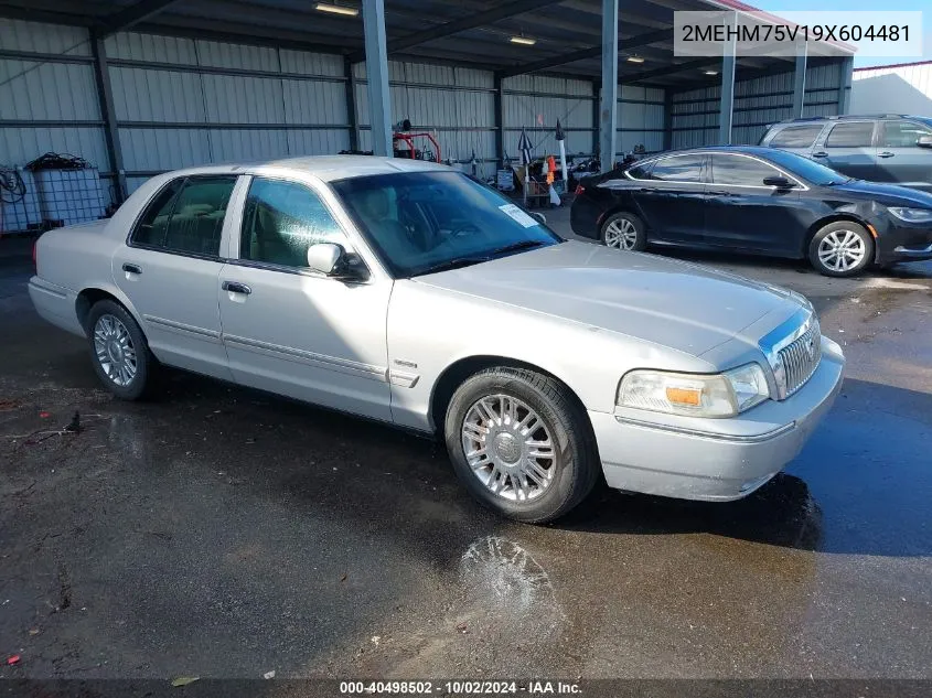 2009 Mercury Grand Marquis Ls (Fleet Only) VIN: 2MEHM75V19X604481 Lot: 40498502