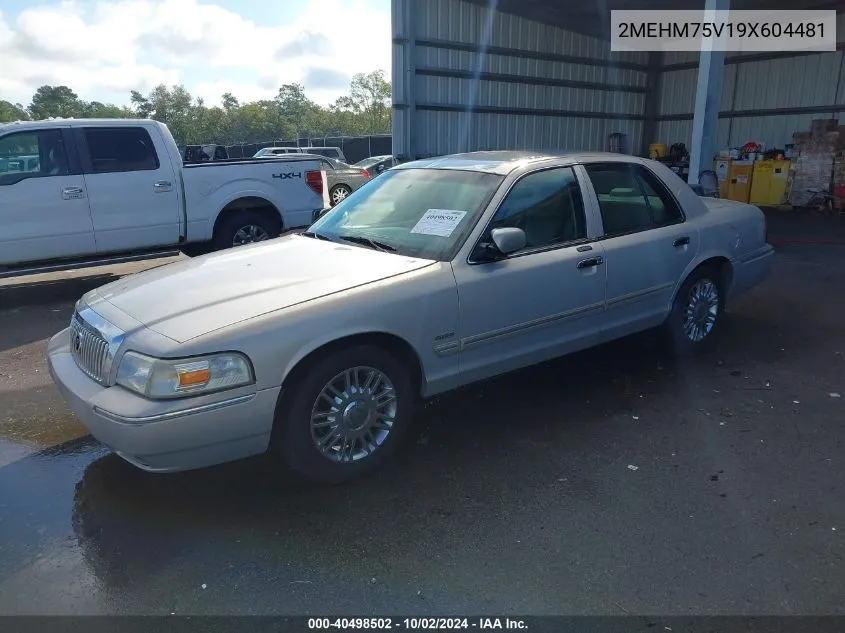 2009 Mercury Grand Marquis Ls (Fleet Only) VIN: 2MEHM75V19X604481 Lot: 40498502