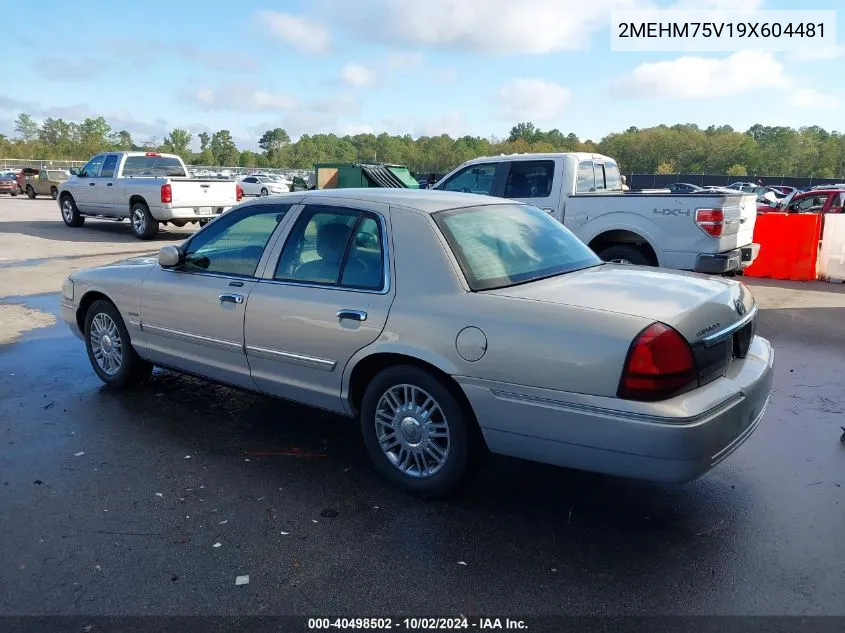 2009 Mercury Grand Marquis Ls (Fleet Only) VIN: 2MEHM75V19X604481 Lot: 40498502