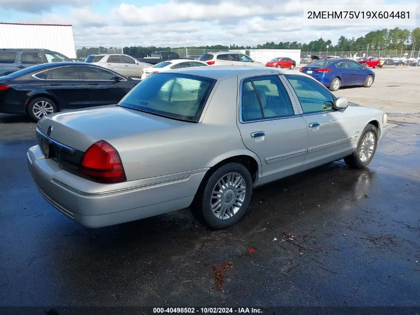 2009 Mercury Grand Marquis Ls (Fleet Only) VIN: 2MEHM75V19X604481 Lot: 40498502