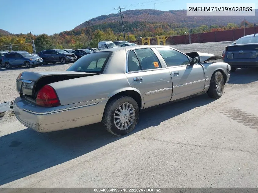 2009 Mercury Grand Marquis Ls (Fleet Only) VIN: 2MEHM75V19X628859 Lot: 40664199