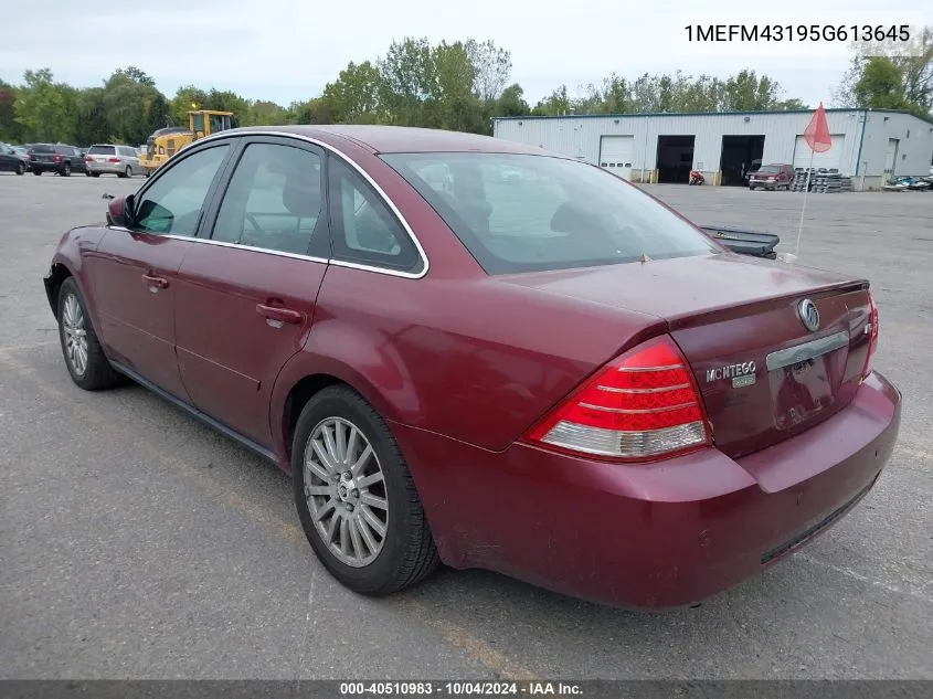 2005 Mercury Montego Premier VIN: 1MEFM43195G613645 Lot: 40510983