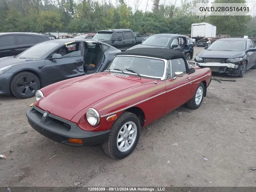 1981 Mg British VIN: GVLDJ2BG516491 Lot: 12095389