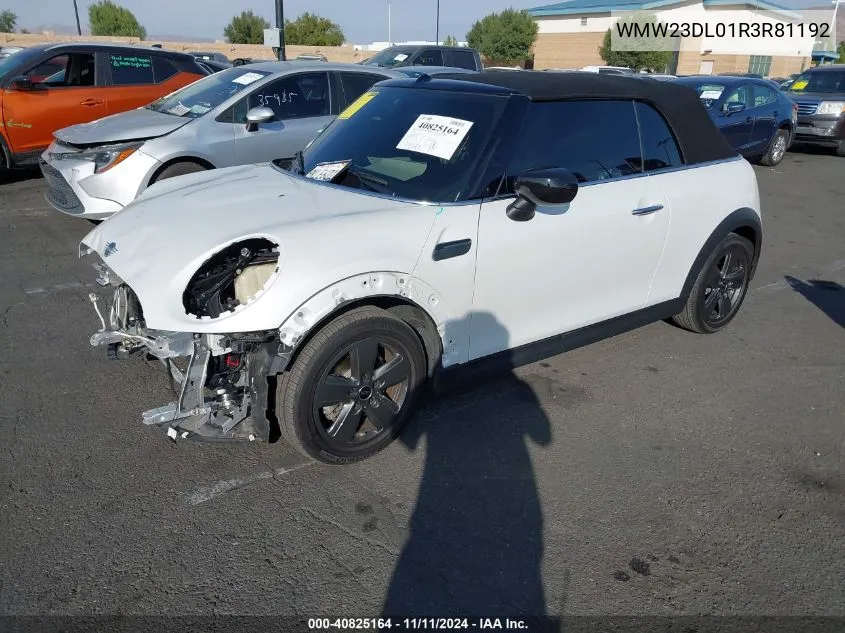 2024 Mini Convertible Cooper VIN: WMW23DL01R3R81192 Lot: 40825164