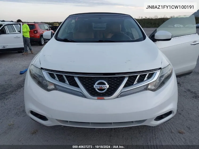 2012 Nissan Murano Crosscabriolet VIN: JN8AZ1FY1CW100191 Lot: 40637273