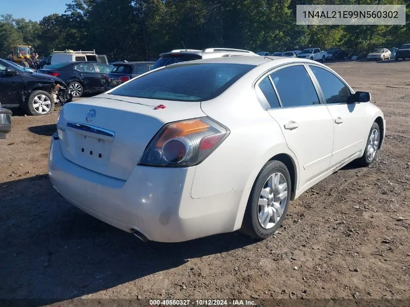 2009 Nissan Altima 2.5 VIN: 1N4AL21E99N560302 Lot: 40550327