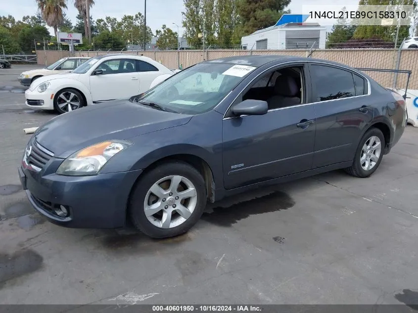 1N4CL21E89C158310 2009 Nissan Altima Hybrid