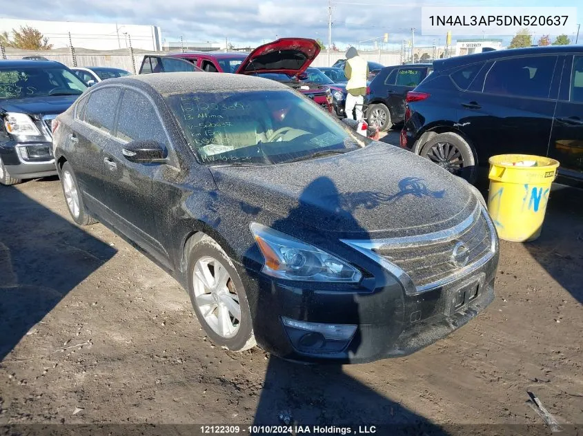 2013 Nissan Altima VIN: 1N4AL3AP5DN520637 Lot: 12122309