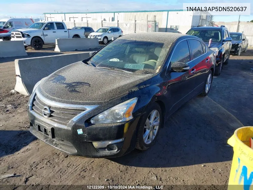 2013 Nissan Altima VIN: 1N4AL3AP5DN520637 Lot: 12122309