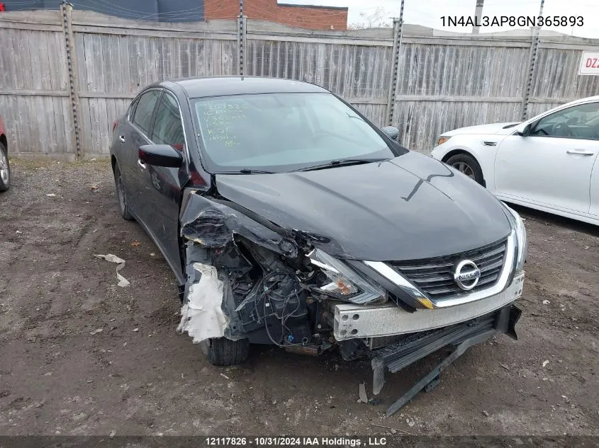 2016 Nissan Altima 2.5/S/Sv/Sl/Sr VIN: 1N4AL3AP8GN365893 Lot: 12117826