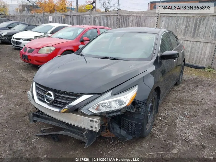 2016 Nissan Altima 2.5/S/Sv/Sl/Sr VIN: 1N4AL3AP8GN365893 Lot: 12117826