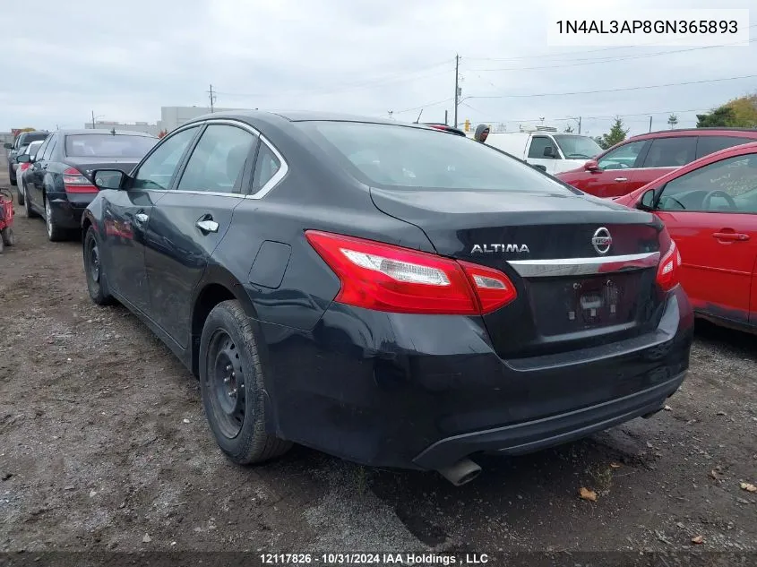 2016 Nissan Altima 2.5/S/Sv/Sl/Sr VIN: 1N4AL3AP8GN365893 Lot: 12117826