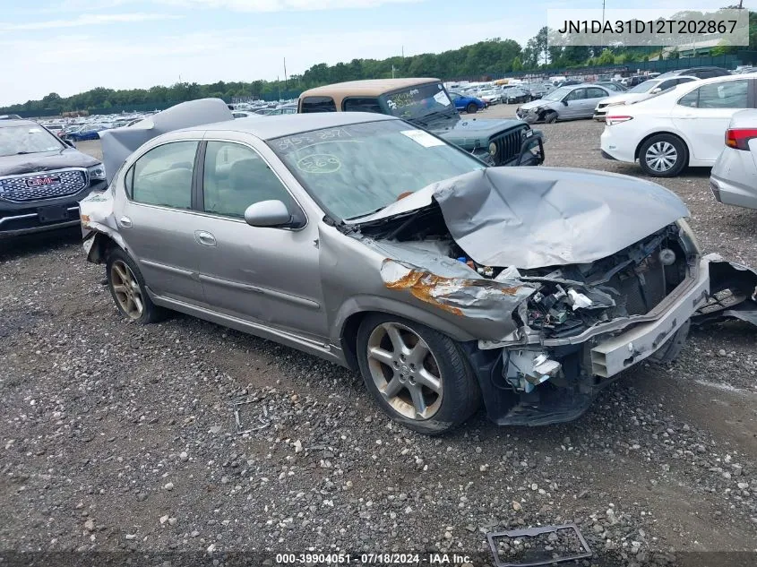 2002 Nissan Maxima Gxe VIN: JN1DA31D12T202867 Lot: 39904051