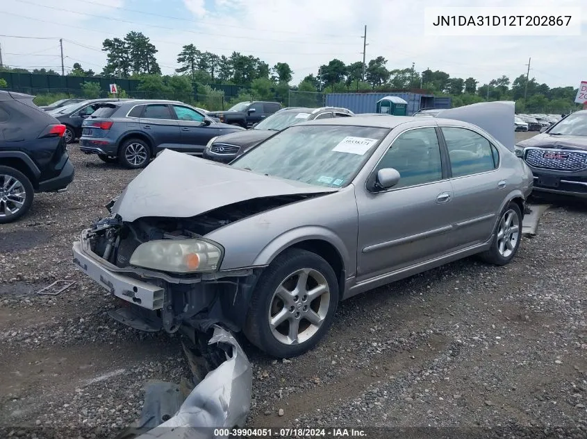 2002 Nissan Maxima Gxe VIN: JN1DA31D12T202867 Lot: 39904051