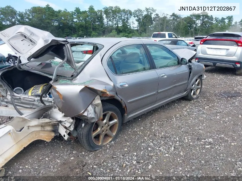 2002 Nissan Maxima Gxe VIN: JN1DA31D12T202867 Lot: 39904051