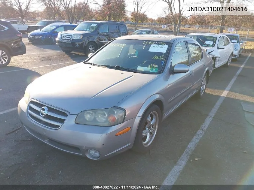 2002 Nissan Maxima Se VIN: JN1DA31D02T404616 Lot: 40827022