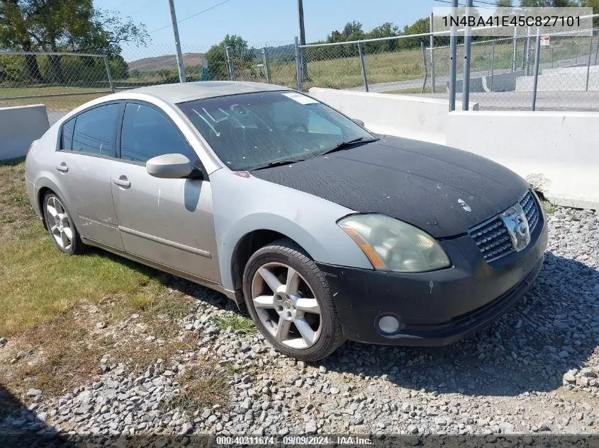 1N4BA41E45C827101 2005 Nissan Maxima 3.5 Se