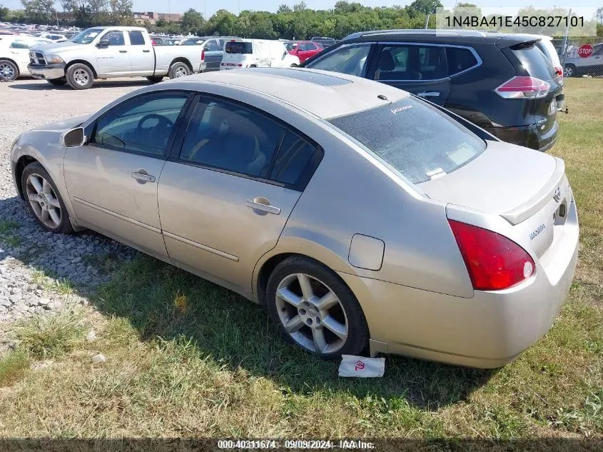 2005 Nissan Maxima 3.5 Se VIN: 1N4BA41E45C827101 Lot: 40311674